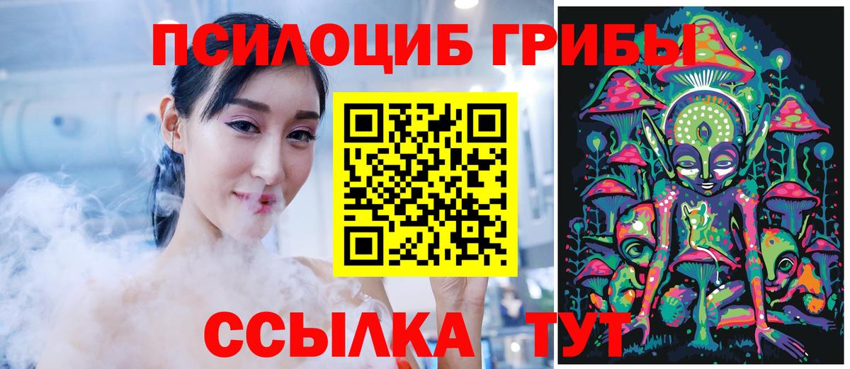 где купить наркотик  Псилоцибиновые грибы мухоморы  Галлюциногенные грибы GOLDEN TEACHER  Вход с VPN  Салехард 